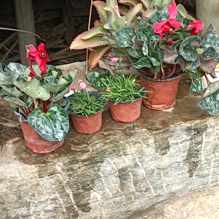 小恼哥😎😎😎