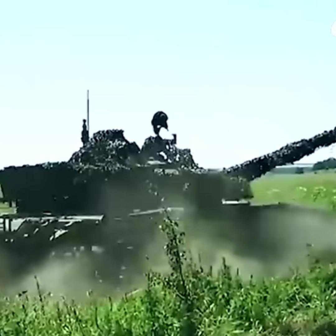 东北虎