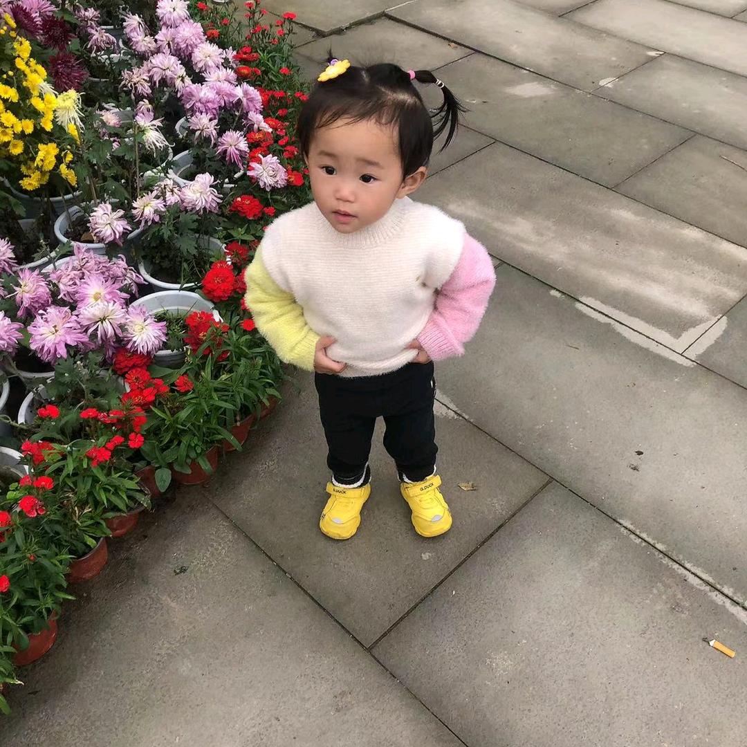 花开花落