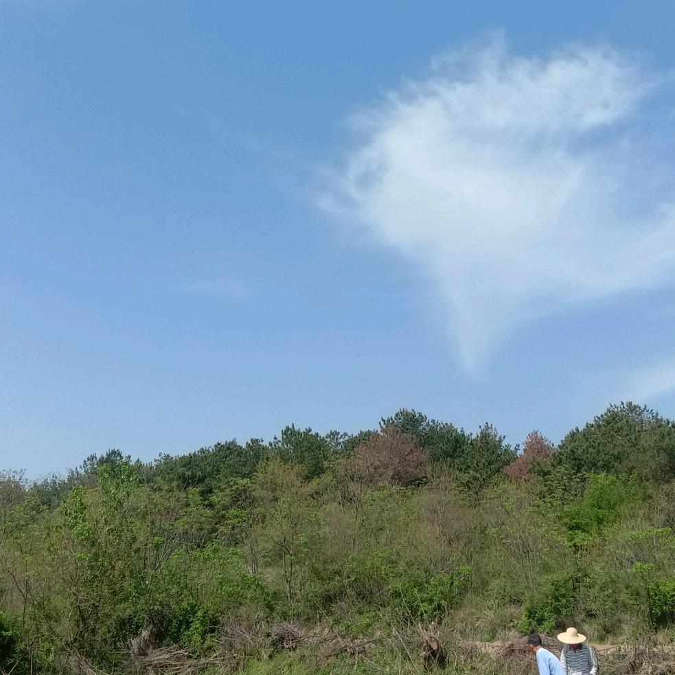 ℋღ᭄余生随心💞࿐