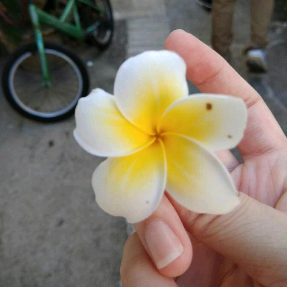 秀群
