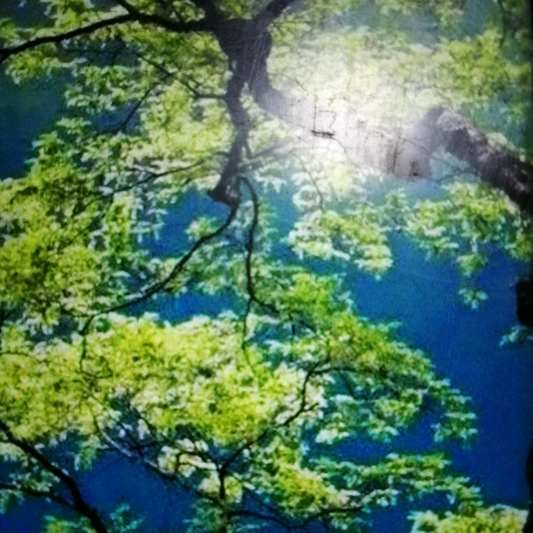 醉翁