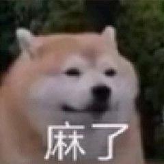🐷娃娃菜