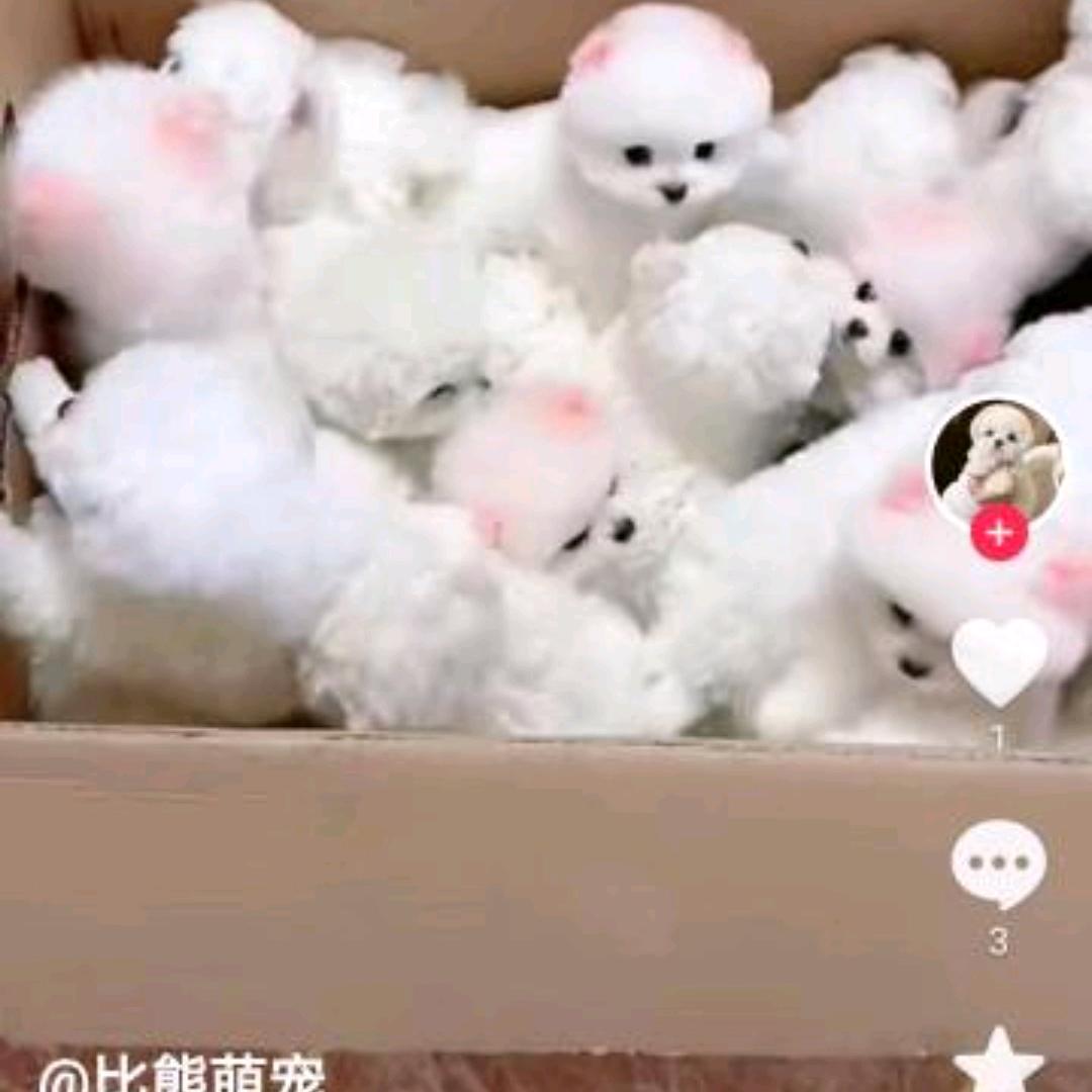 🔥焰