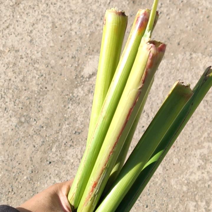 请叫我刘优秀