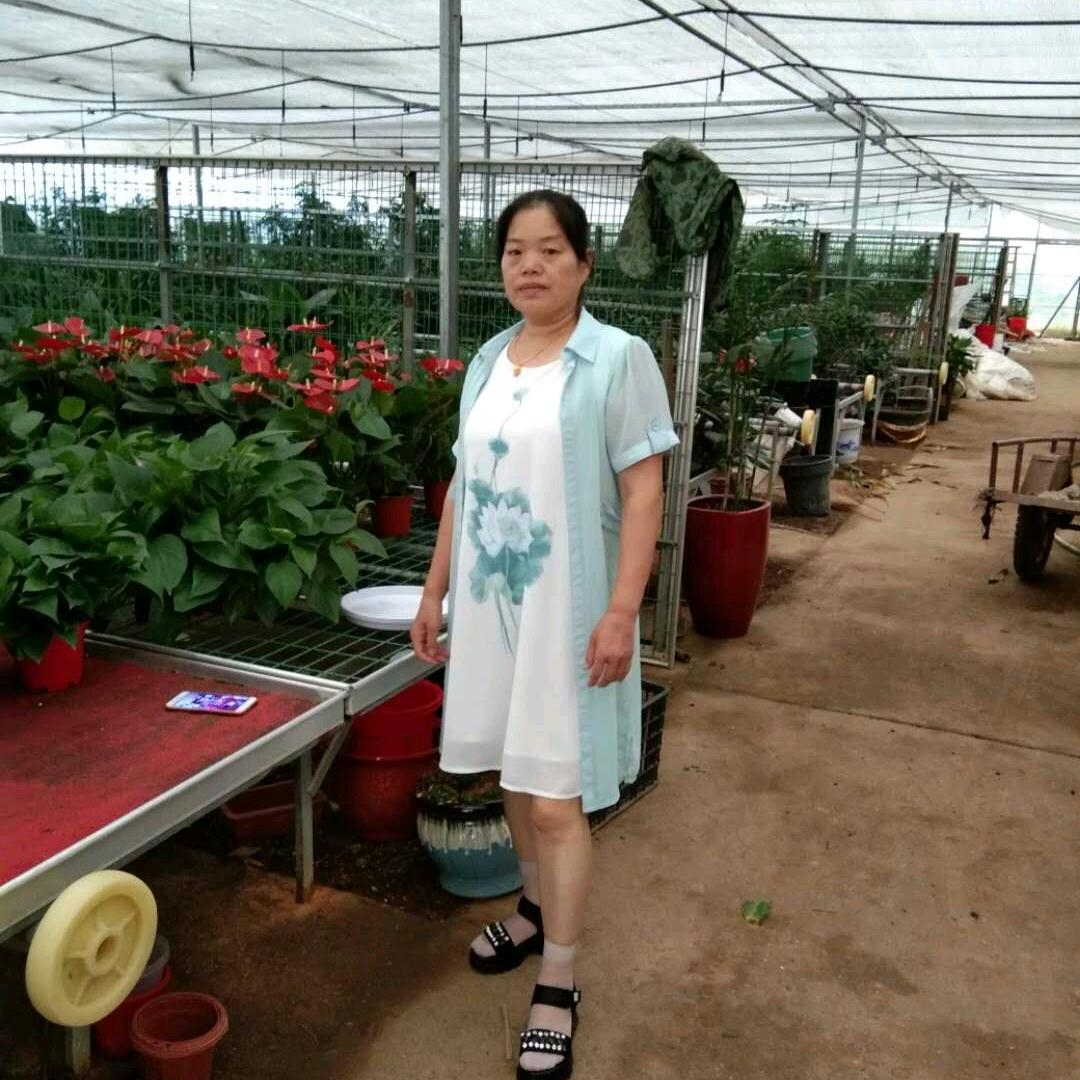 独立女人