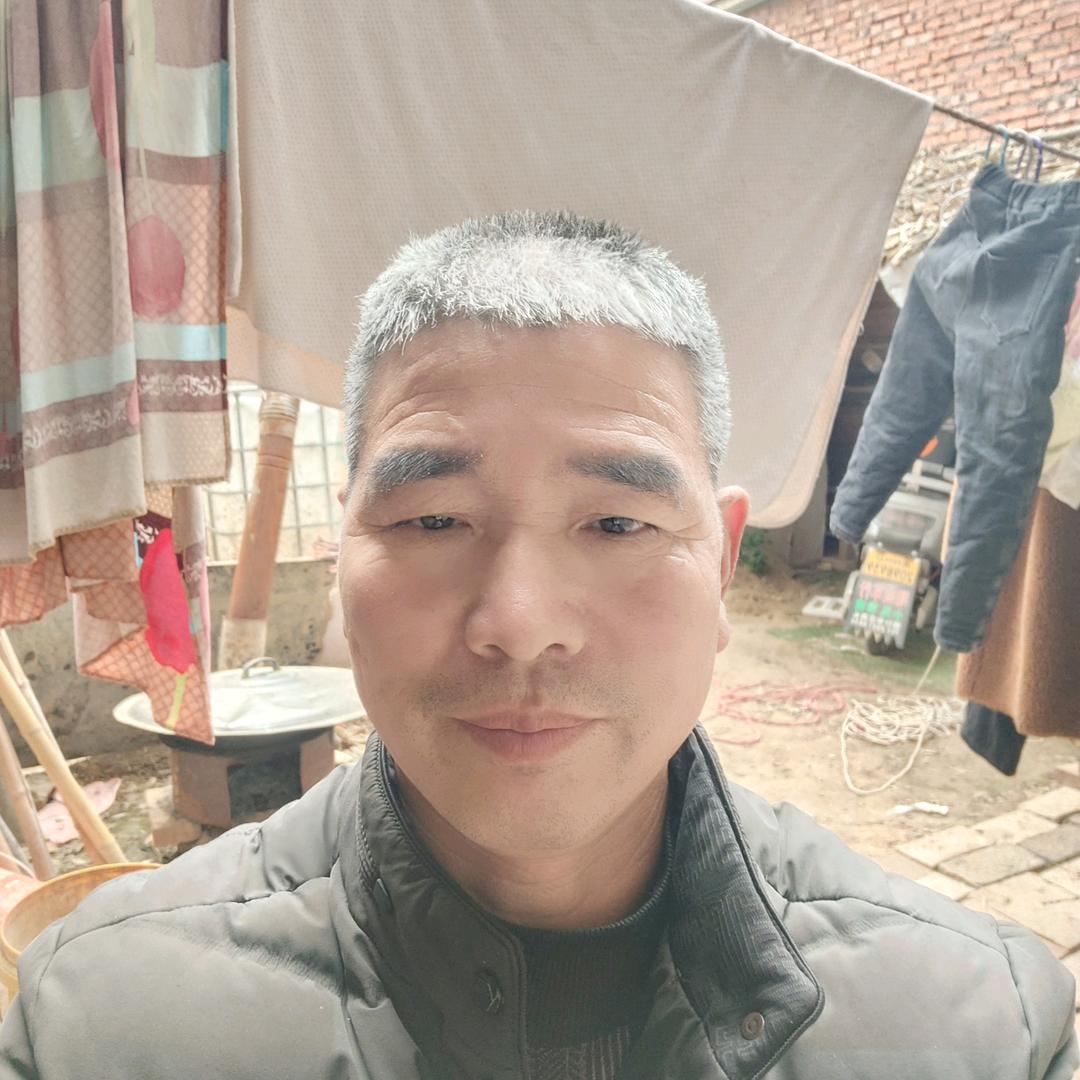 周口老杨