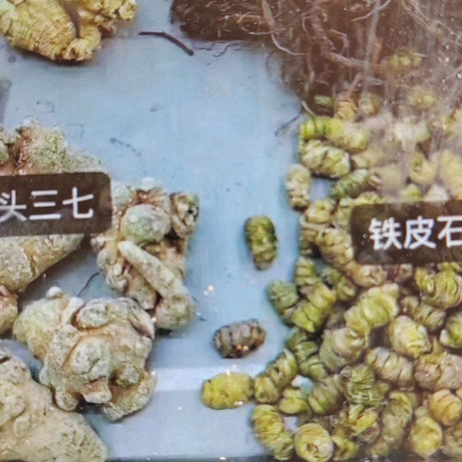 喊姐姐