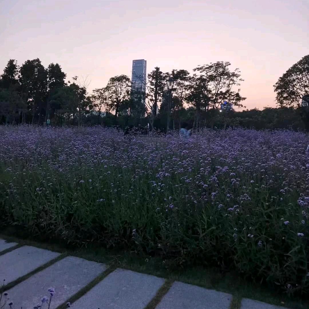 慕然～回首