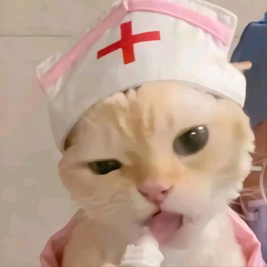 苒