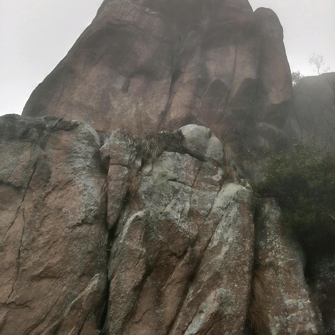 吊砖小杨仔