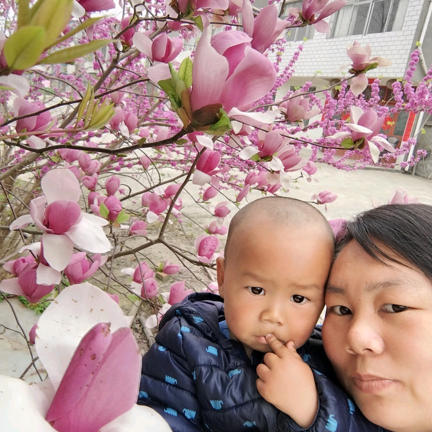 小🍎苹果