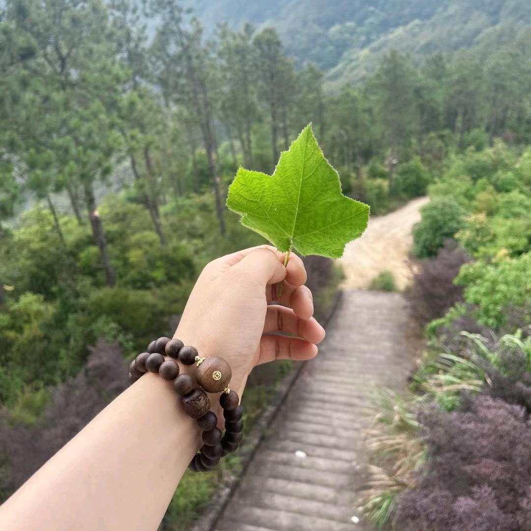 刘三岁