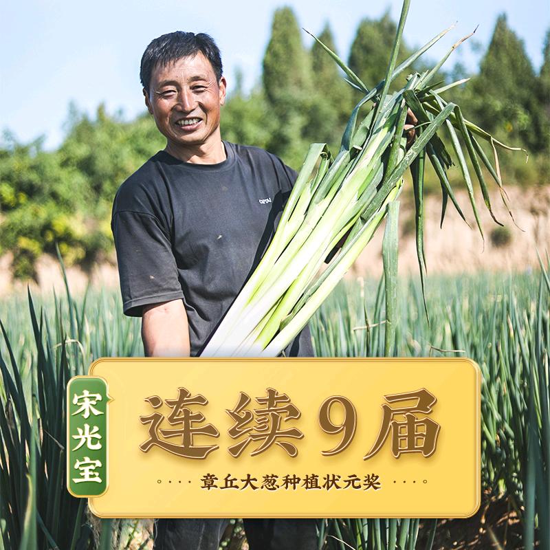 章丘状元大葱