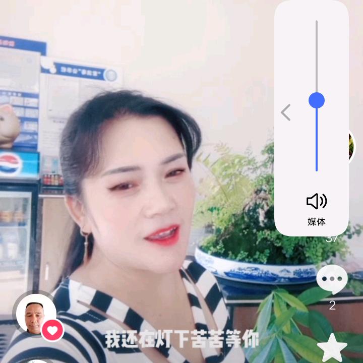 单只蝴蝶