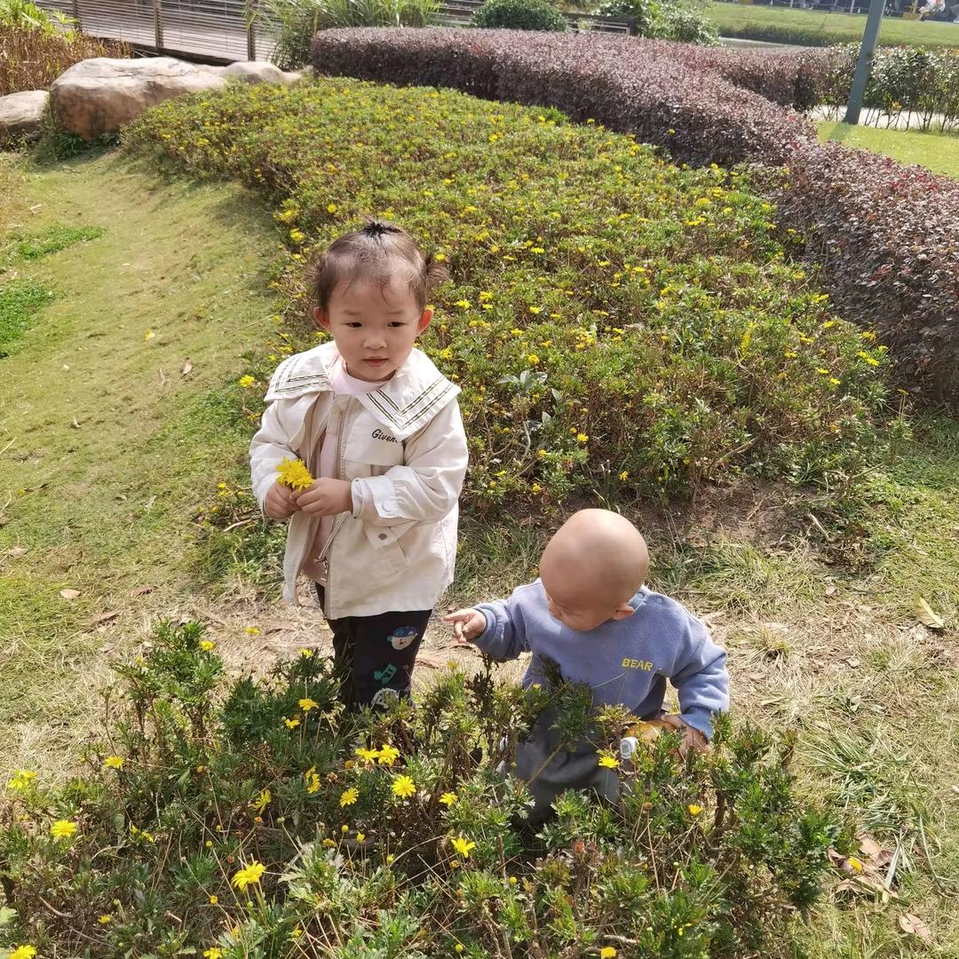 蝶语