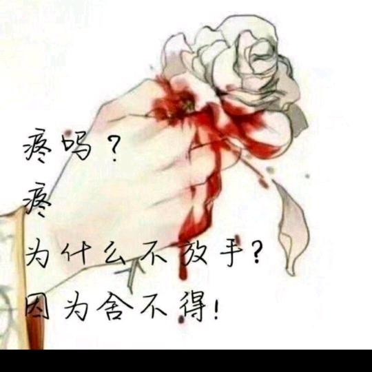 💗᭄封心🕊꯭᭄꯭ꦿ锁爱ོꦿ࿐