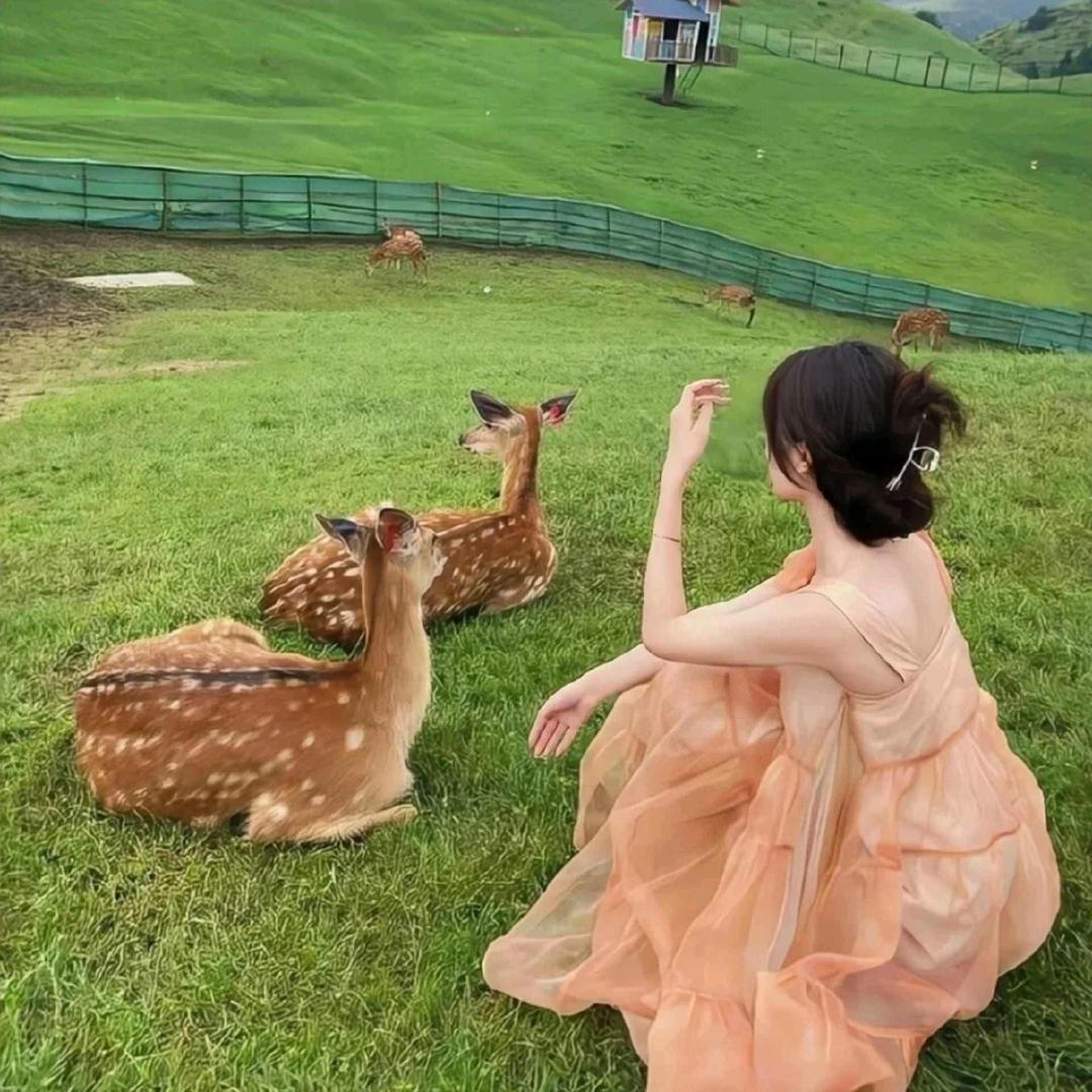 婉心Ꮤ.