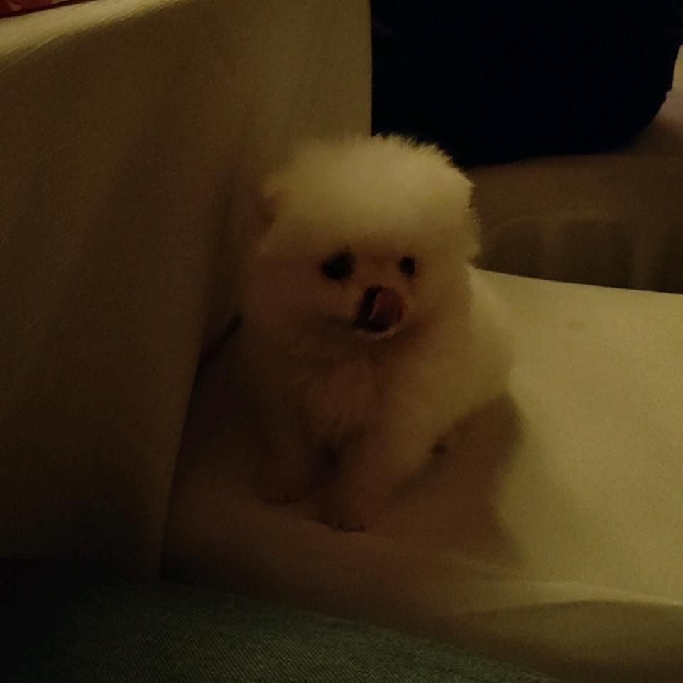 爱的天使！