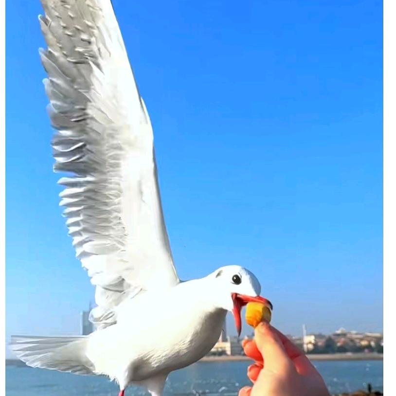 萍水相逢