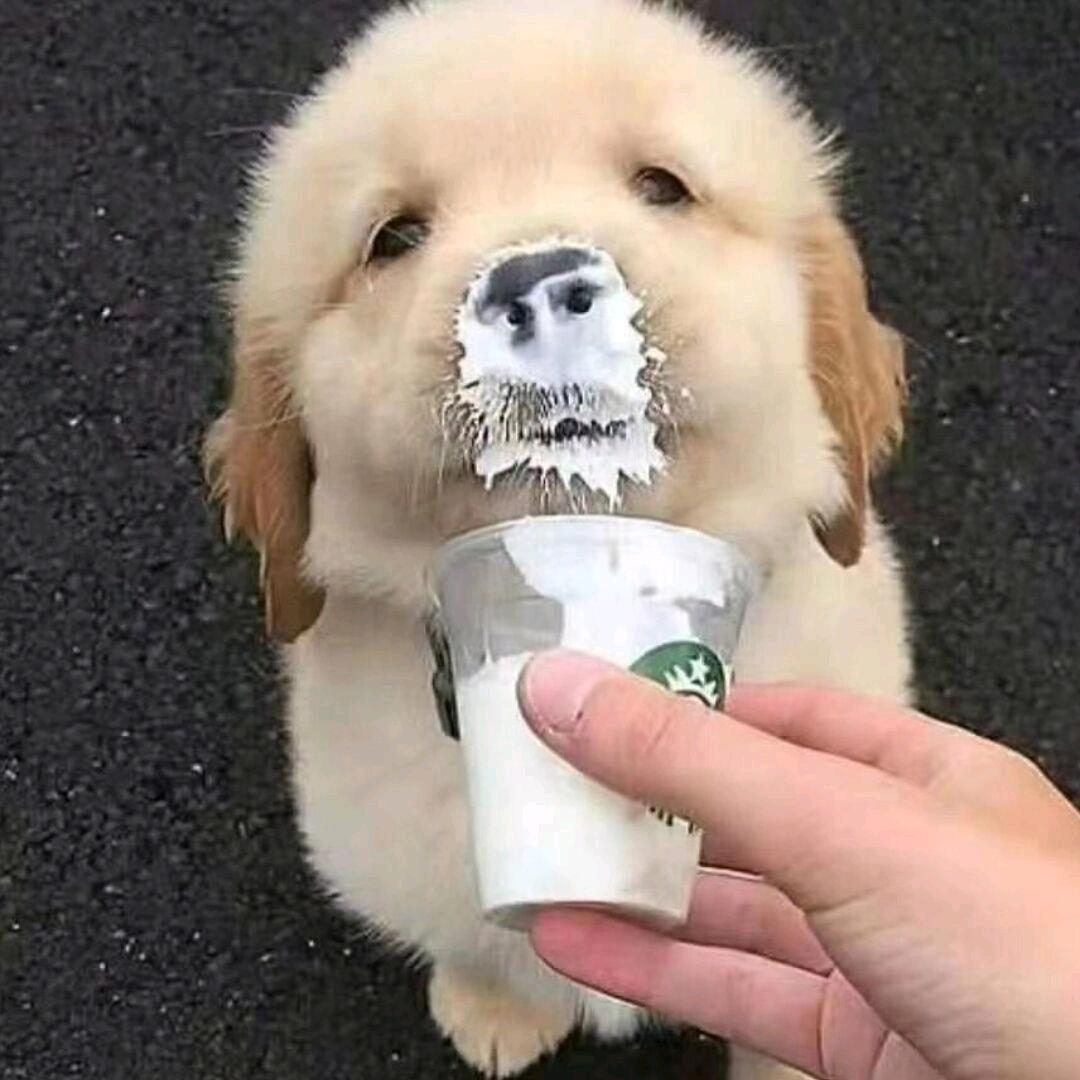 Eezzz