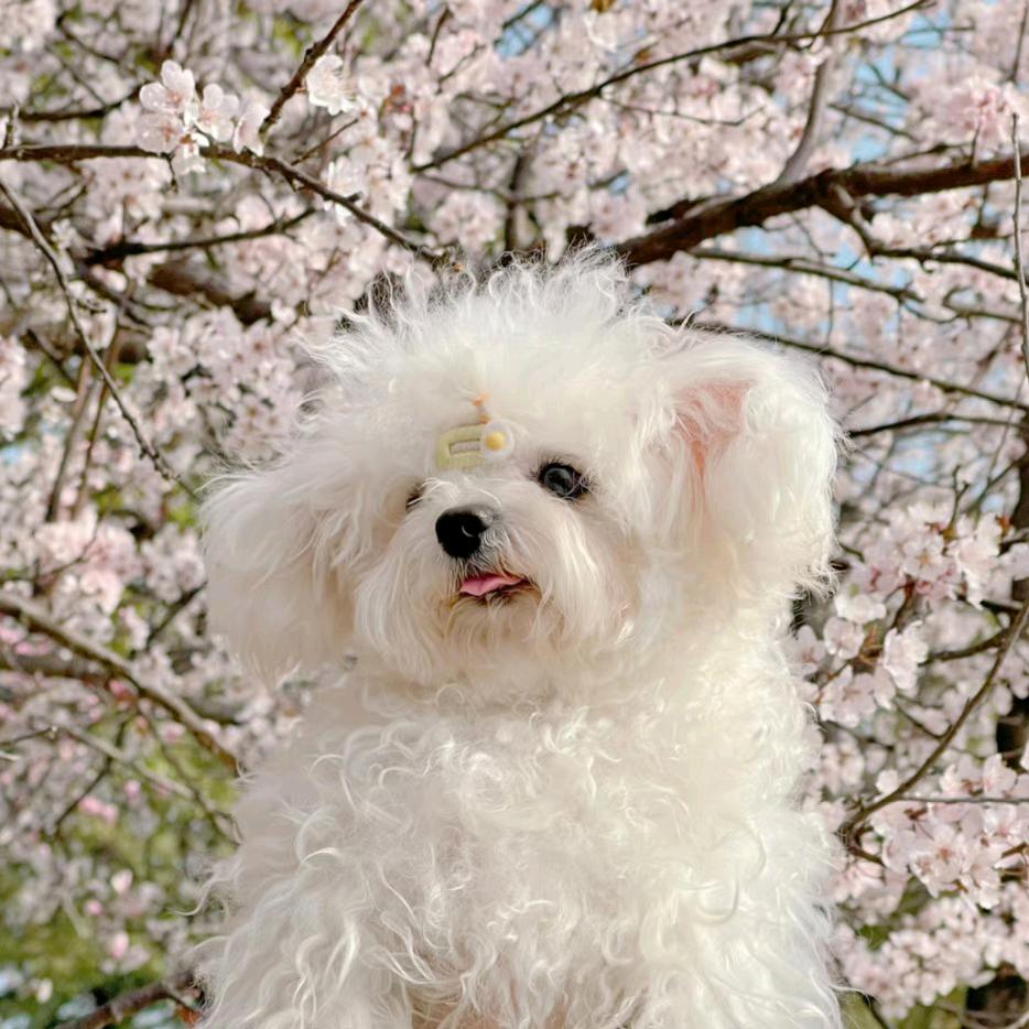 海绵宝宝挤不出时间