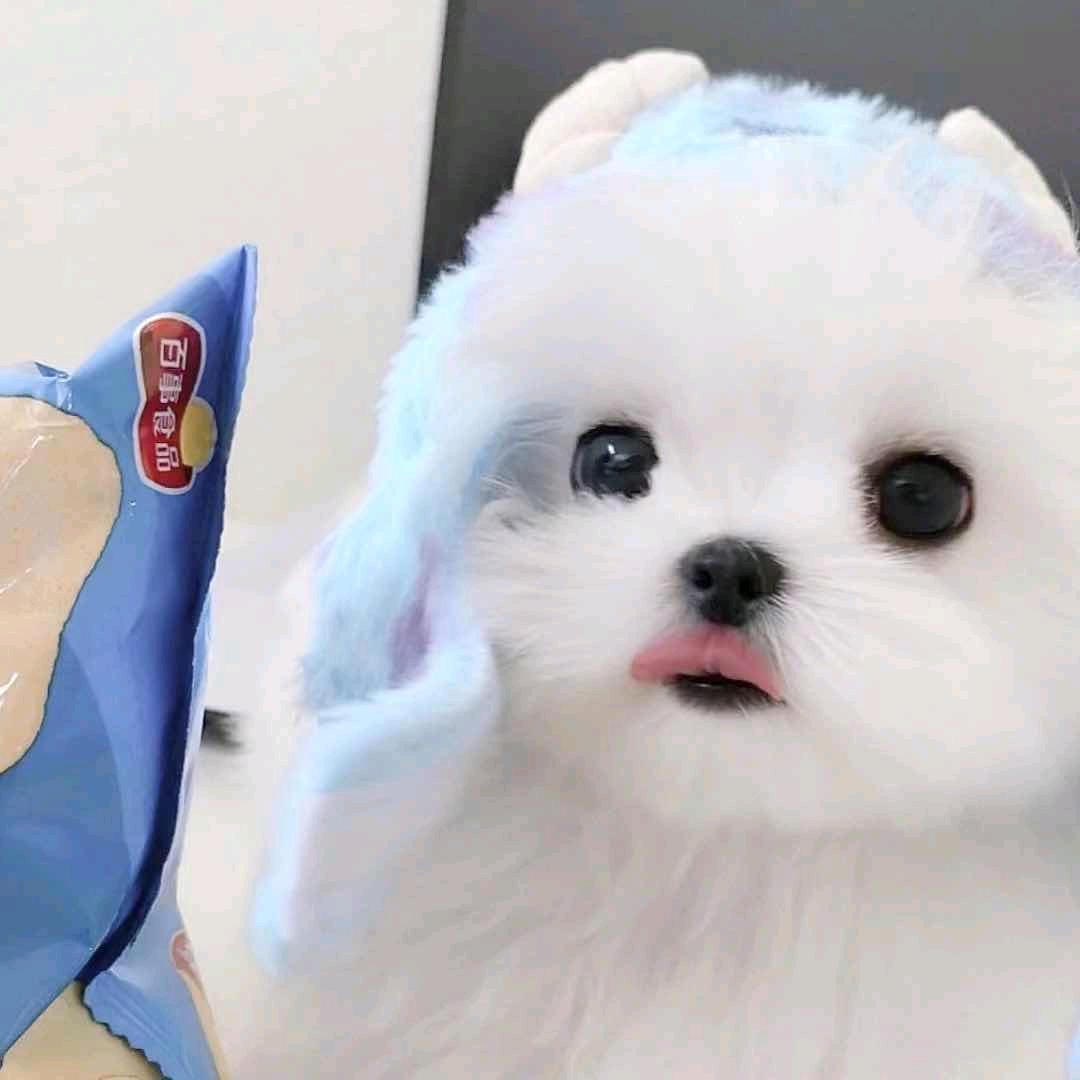 还挺困的૮ ºﻌºა