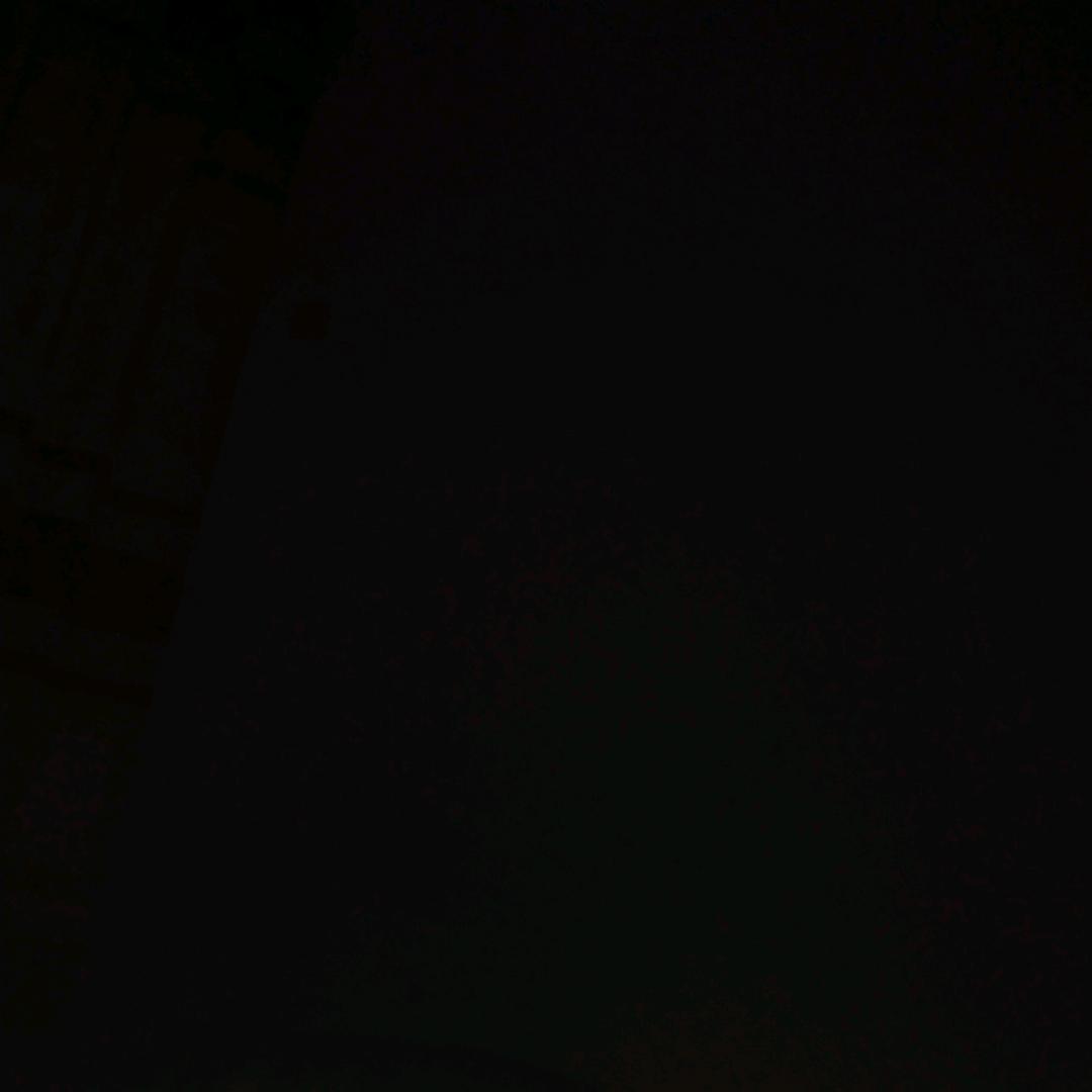 我也喜欢花