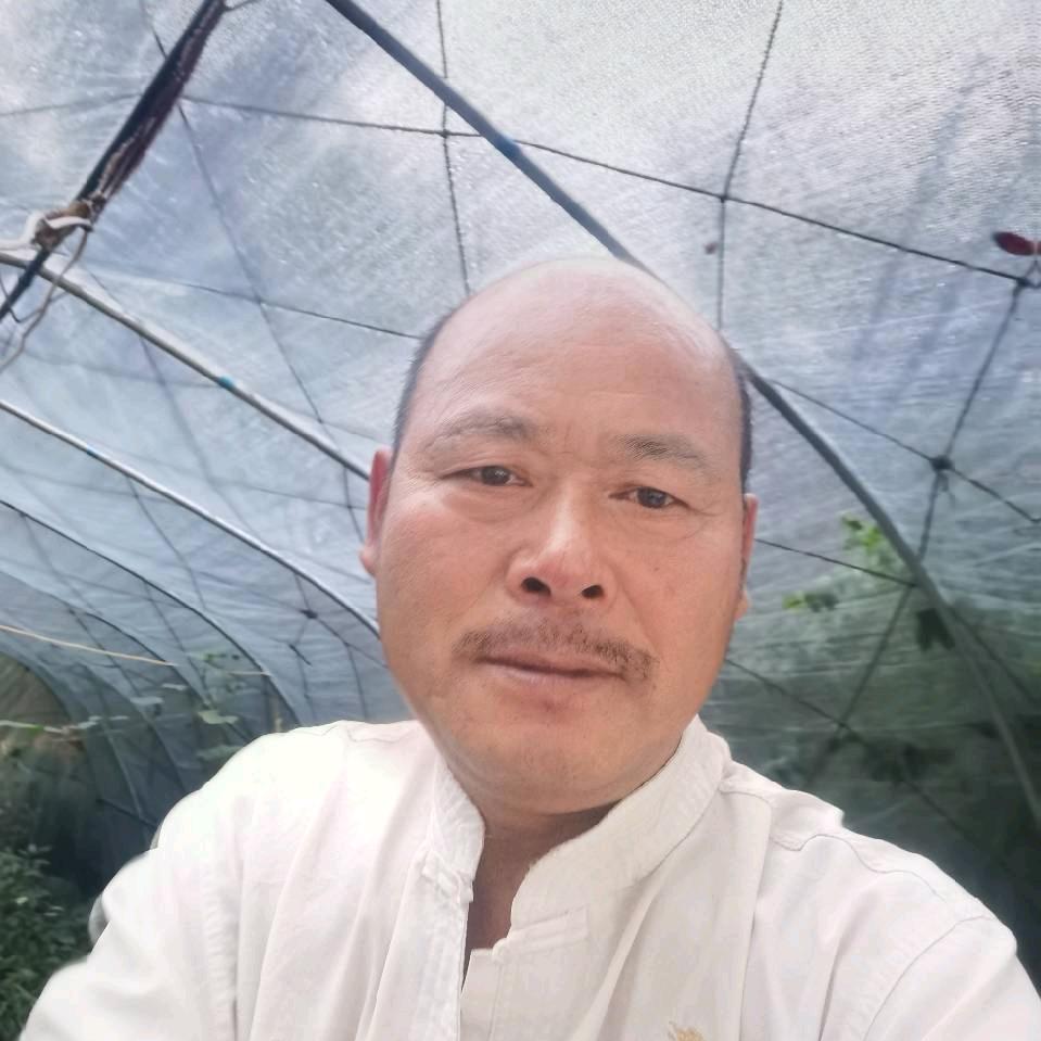 换号了搜索（ 铁嘴冯树清）新号