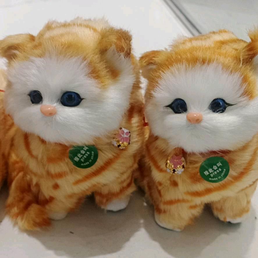 呷马💏💏青措