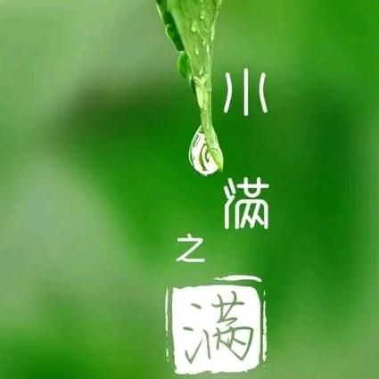 「流年.望返」