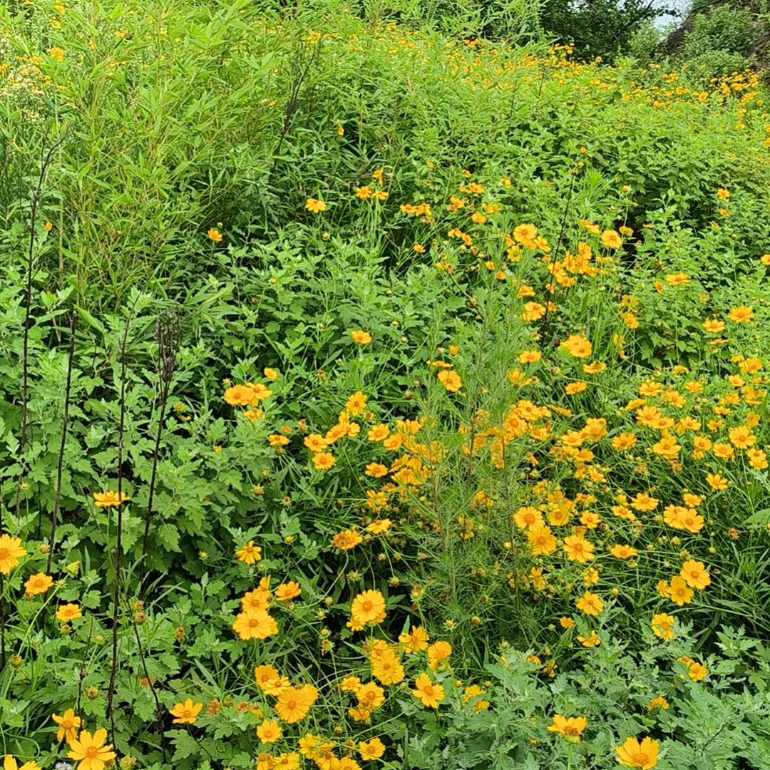 说好的不离不弃呢？