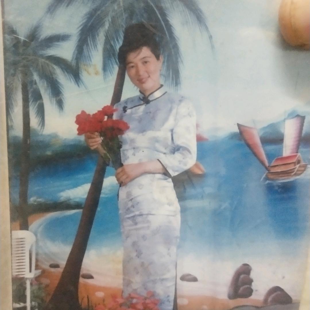傲雪寒梅