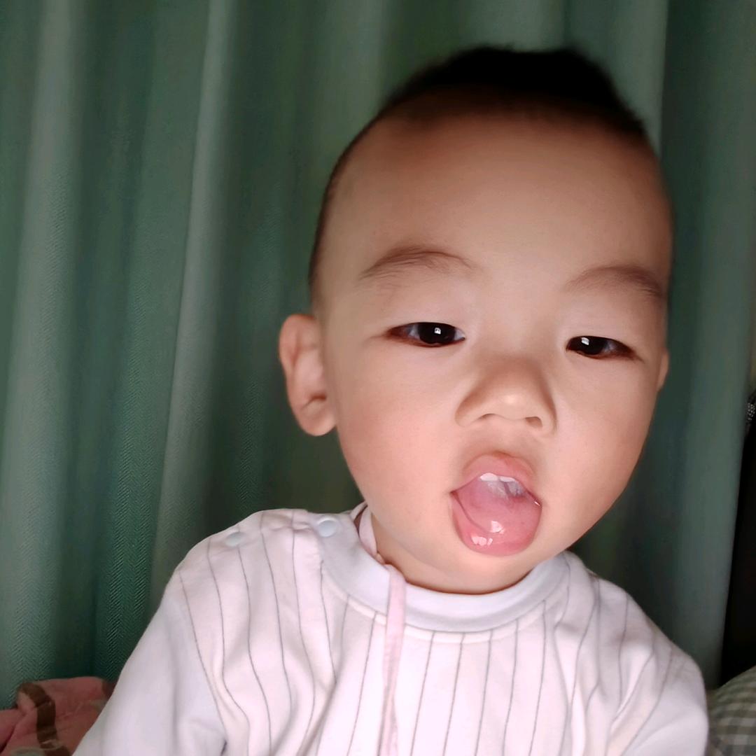 红枫