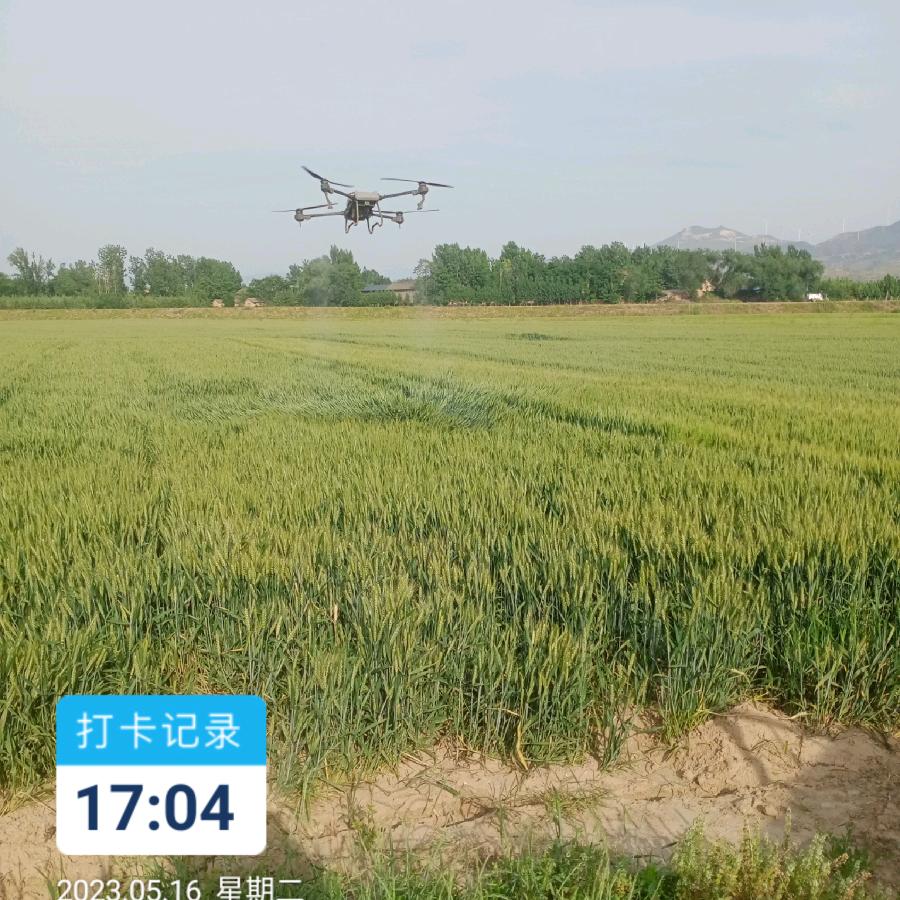 小马飞防