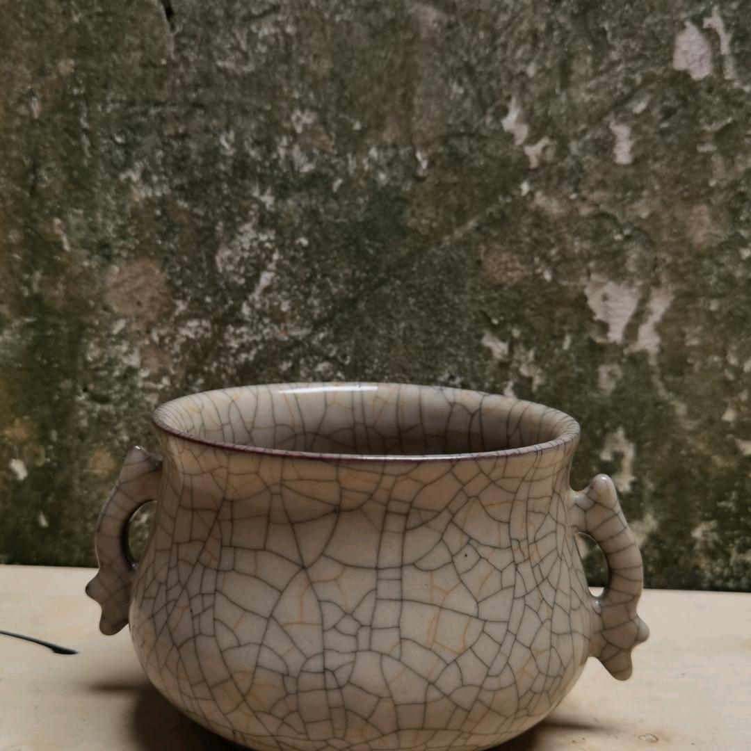 锋淼宠物用品