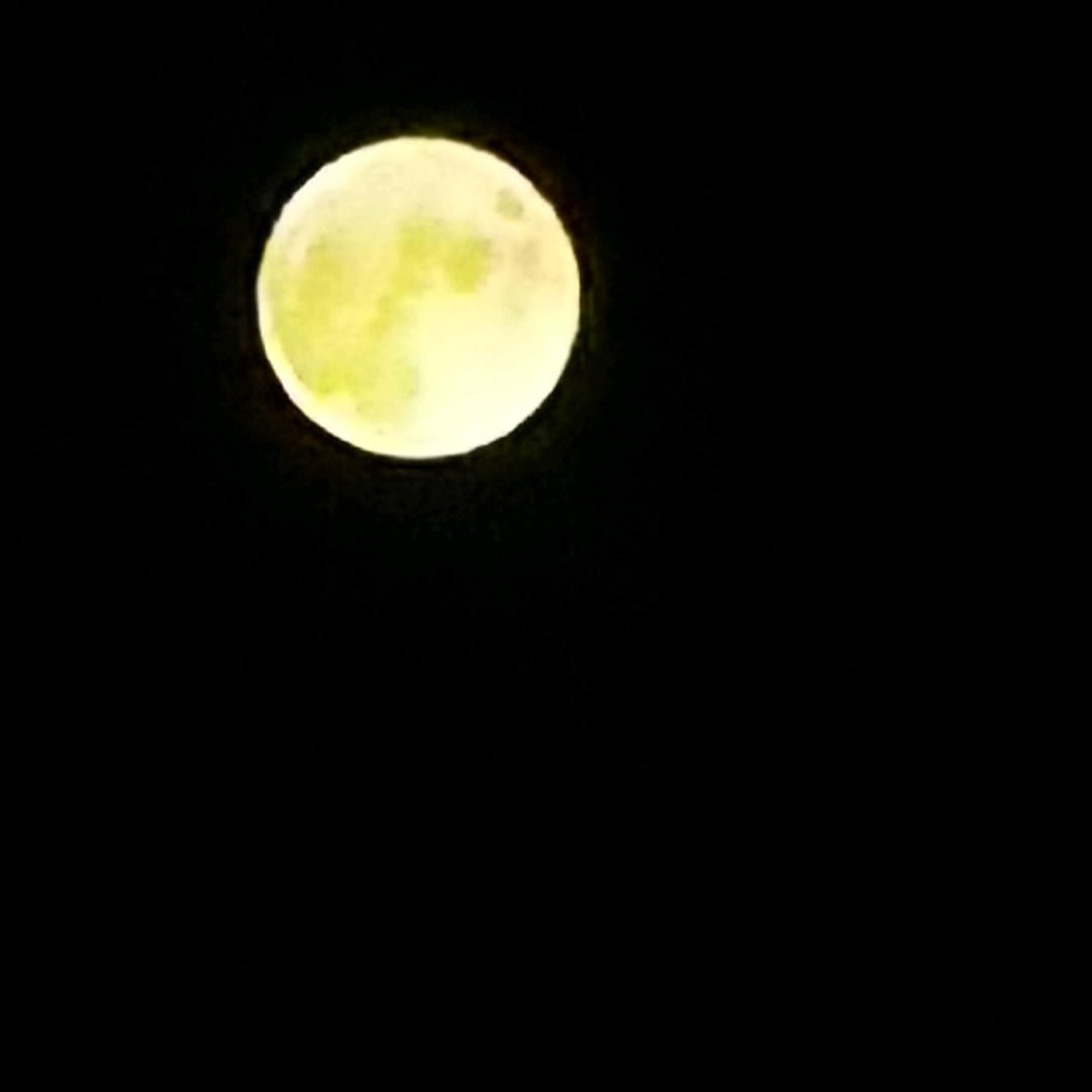 🌈捧在手心🌈