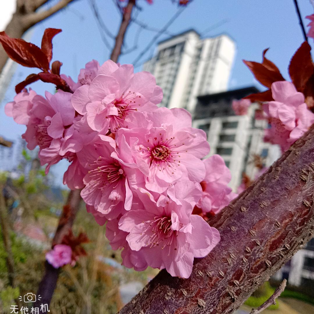 文静LOVE