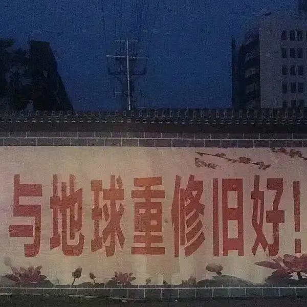 怒放