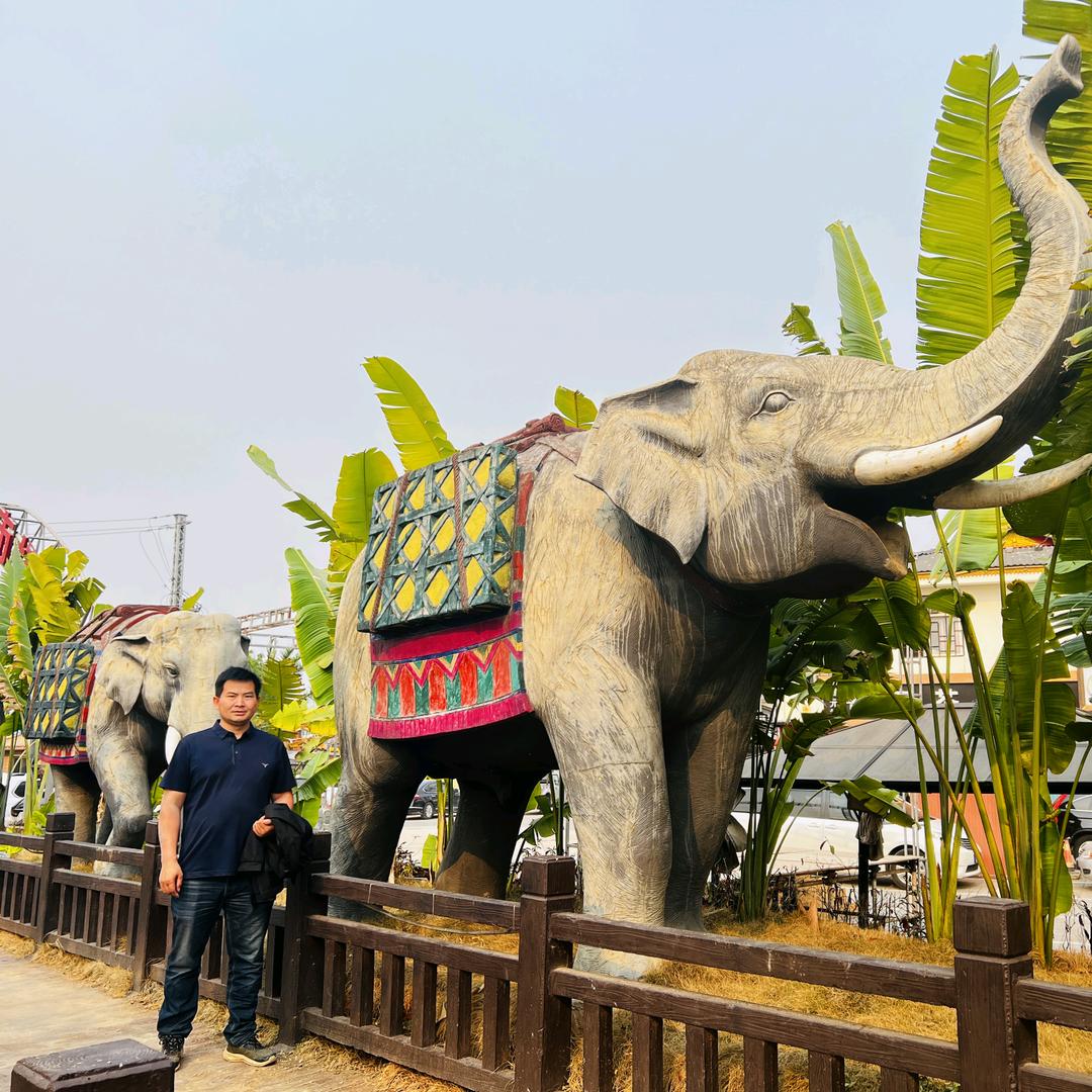 云上时光茶与生活