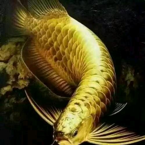 （大牛）