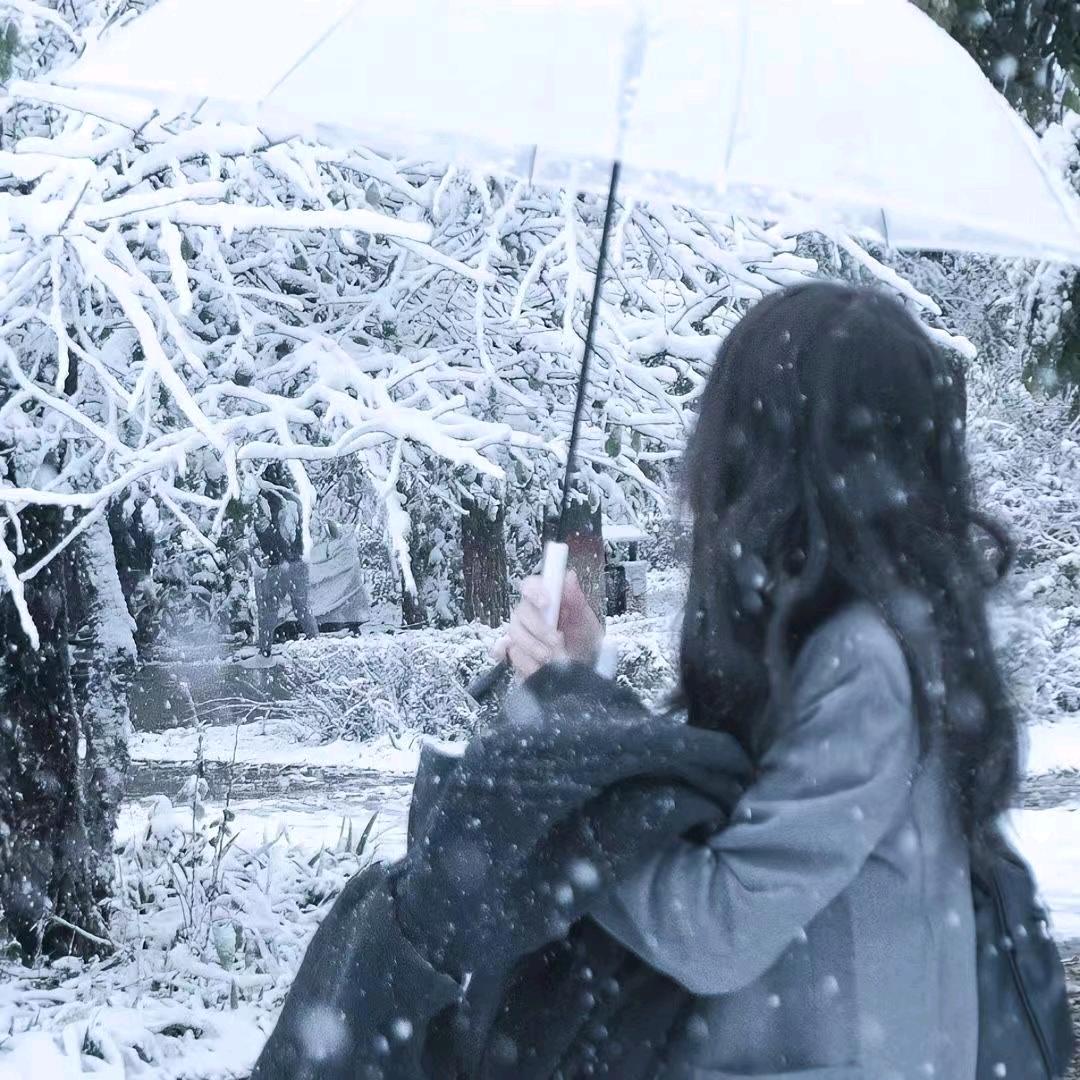 花与海.🩵