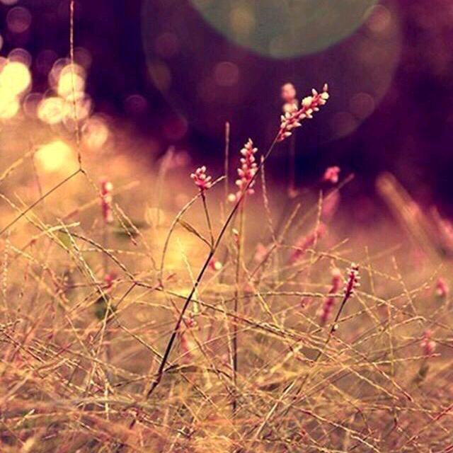 ꧁༺王事✪随风ω✪