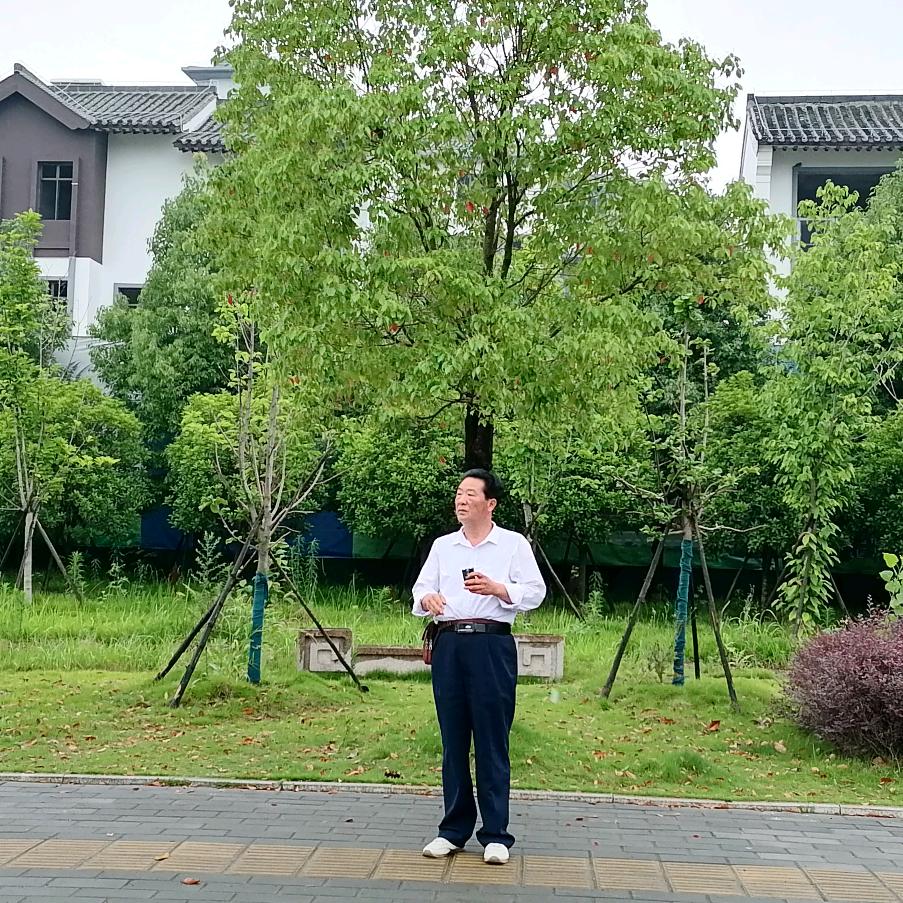 国学传承文化（心学）