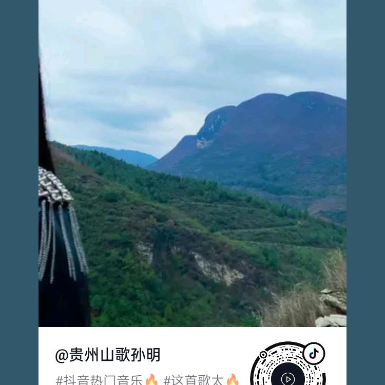 真心成意
