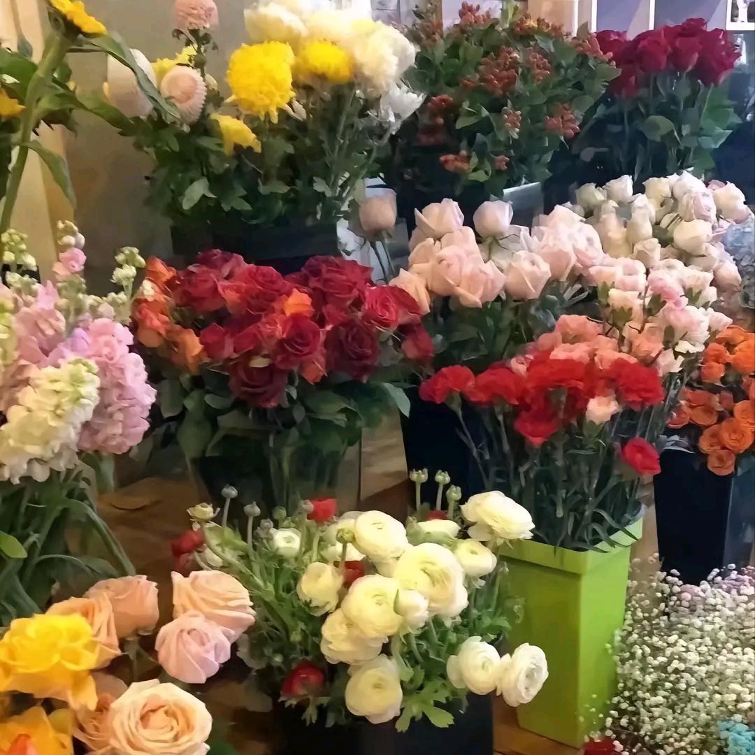 欧燕头像