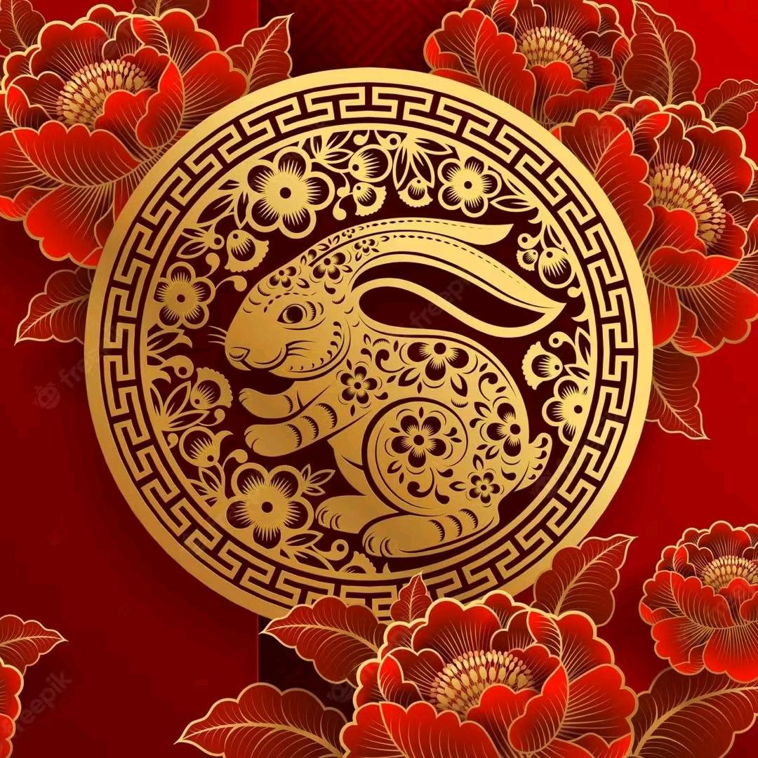 天心殿主陈夏头像