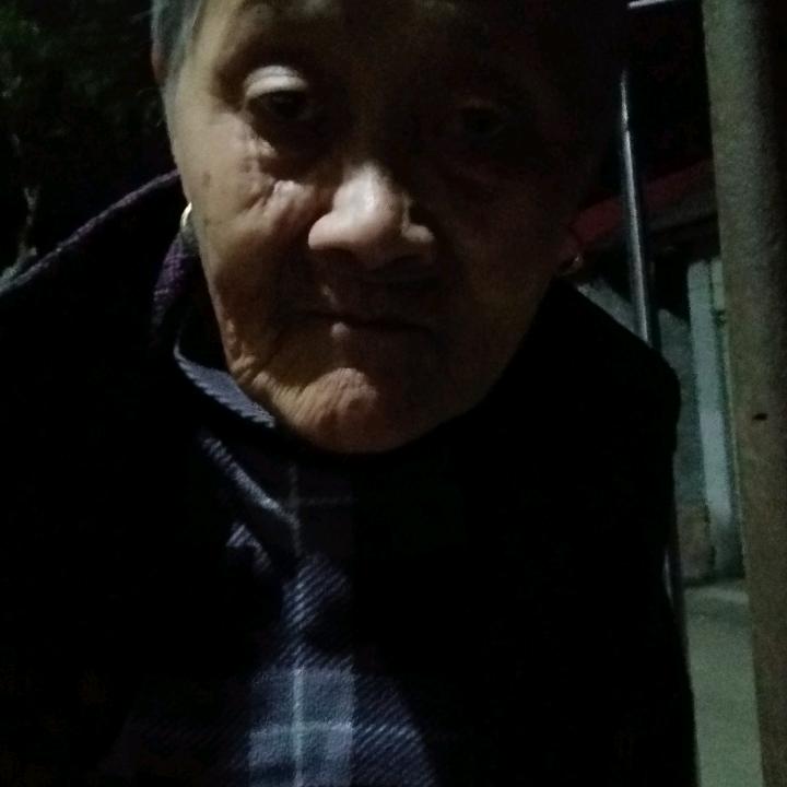 费老太