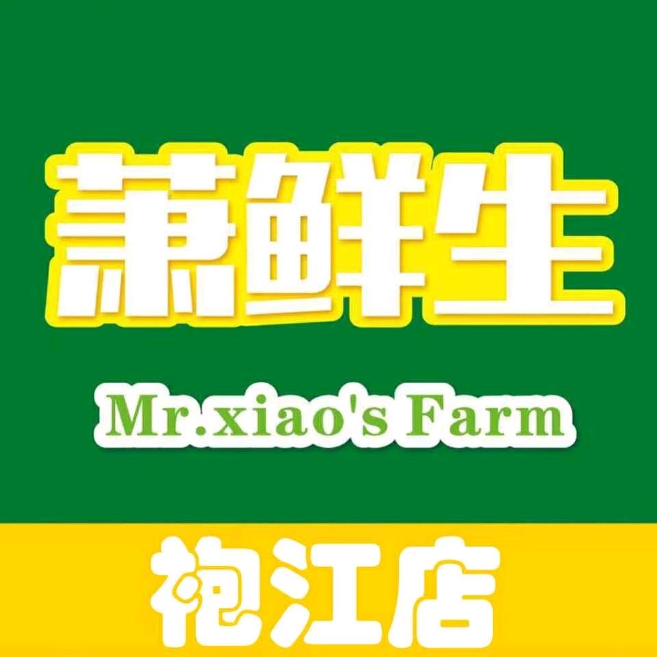 美琴（袍江萧鲜生）