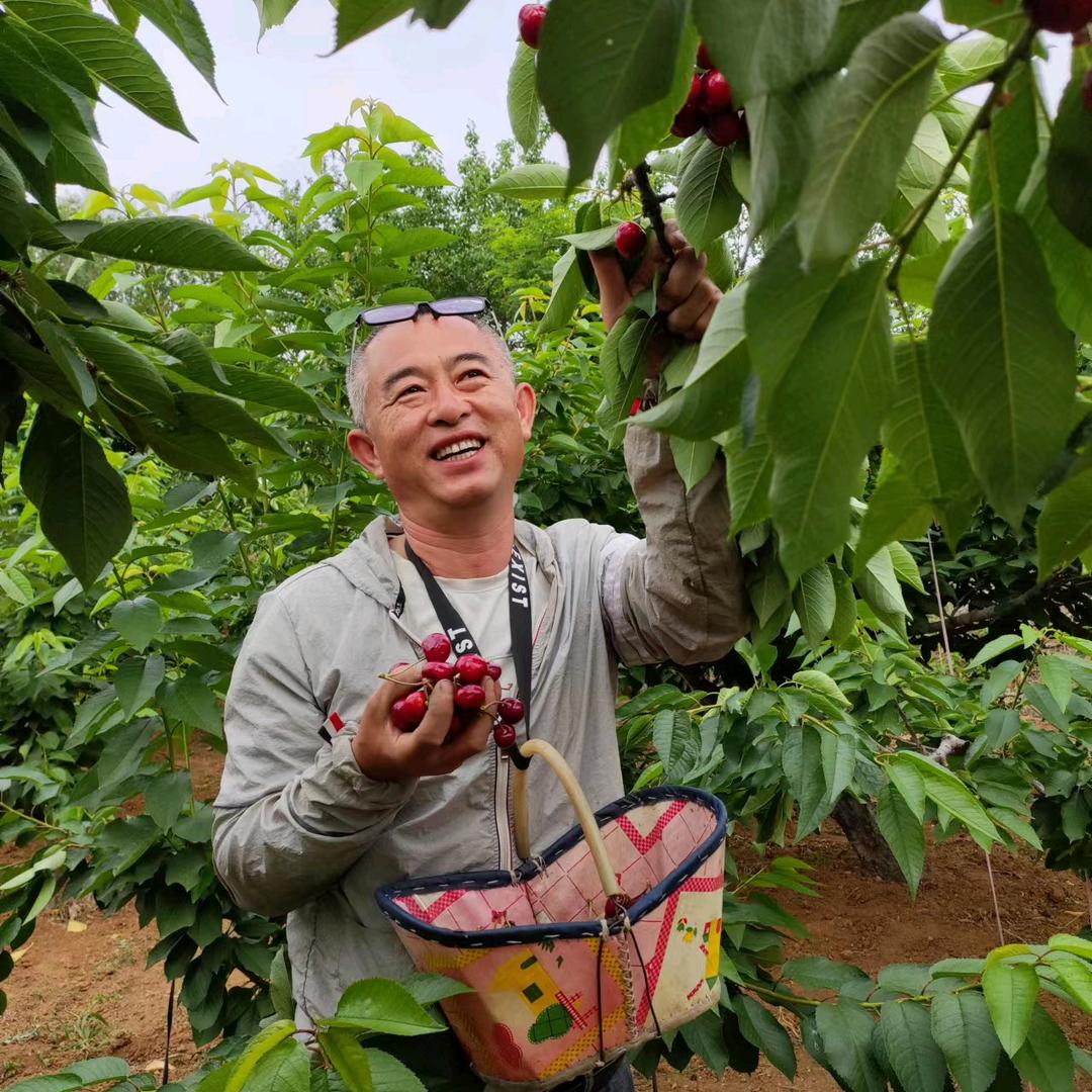 樱桃哥（🍒锁定健康🍒）